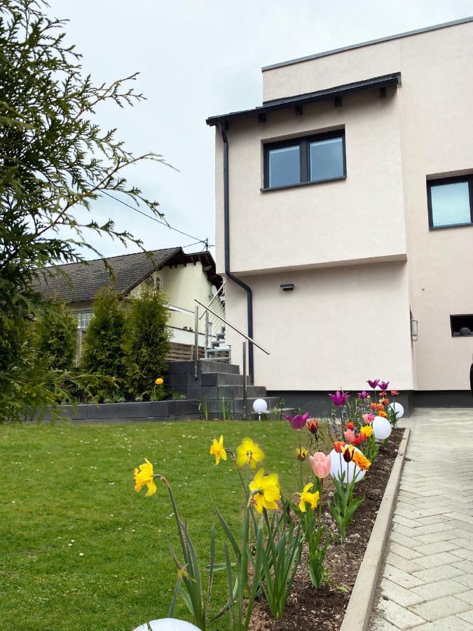 Sonnenlay Lounge - Studio & Ferienhaus Brauneberg Esterno foto